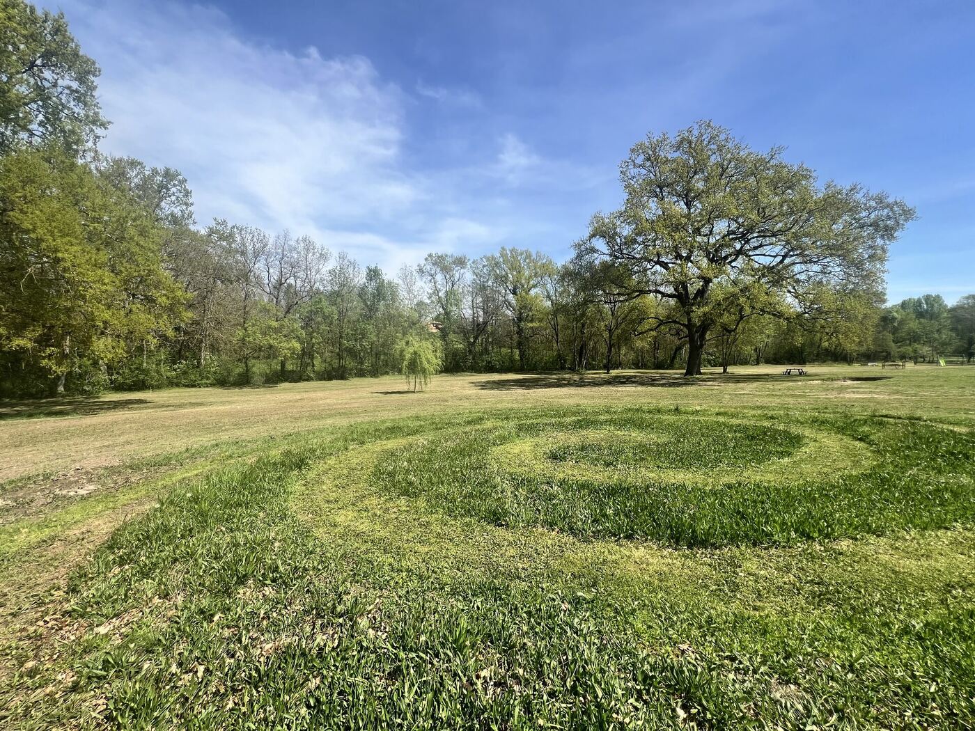 Le domaine de Cadalen — Youry